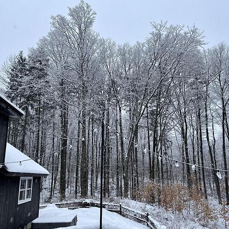 Forest Mountain Escape- Beautiful Mountaintop Escape In Mendon, Vt, 20 Min To Killington 14 To Pico, Home Экстерьер фото