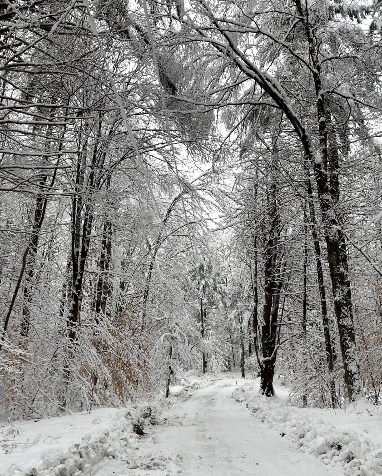 Forest Mountain Escape- Beautiful Mountaintop Escape In Mendon, Vt, 20 Min To Killington 14 To Pico, Home Экстерьер фото