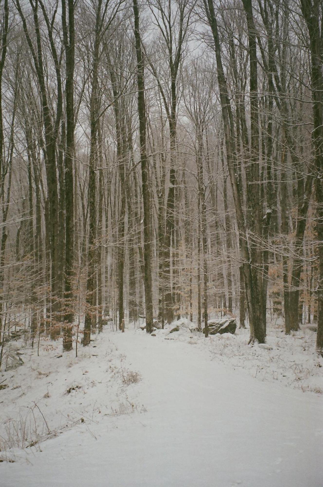 Forest Mountain Escape- Beautiful Mountaintop Escape In Mendon, Vt, 20 Min To Killington 14 To Pico, Home Экстерьер фото